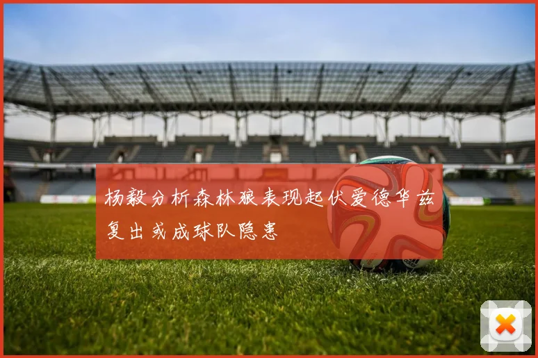 杨毅分析森林狼表现起伏爱德华兹复出或成球队隐患