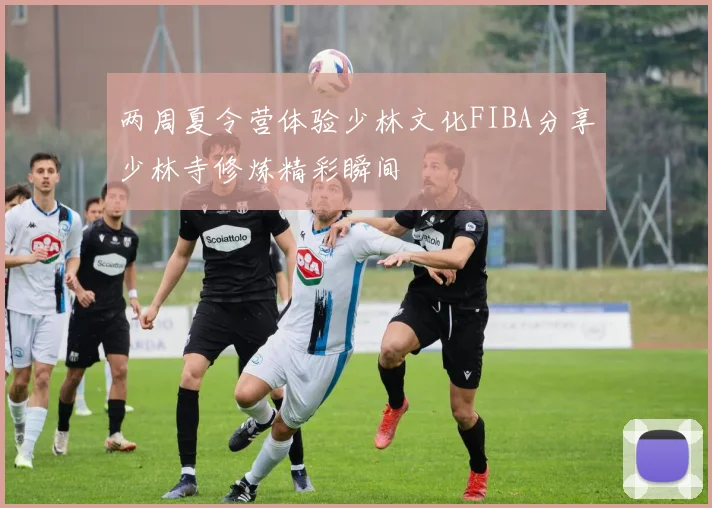 两周夏令营体验少林文化FIBA分享少林寺修炼精彩瞬间