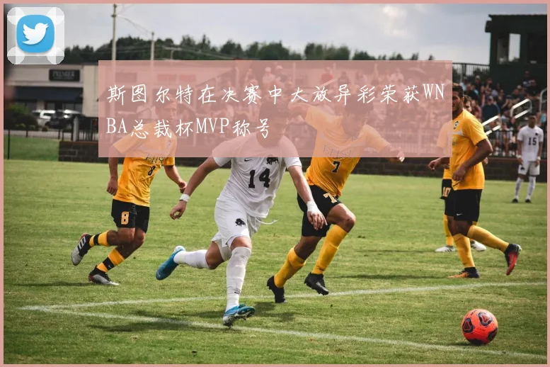 斯图尔特在决赛中大放异彩荣获WNBA总裁杯MVP称号